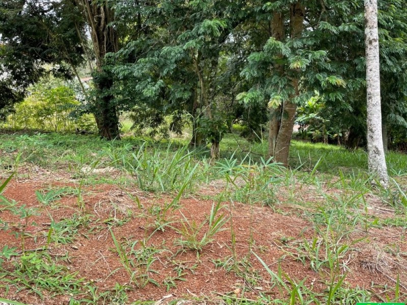 TERRENO 1000M²