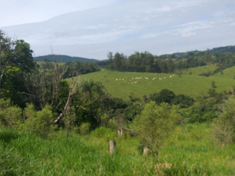 FAZENDA AMPARO