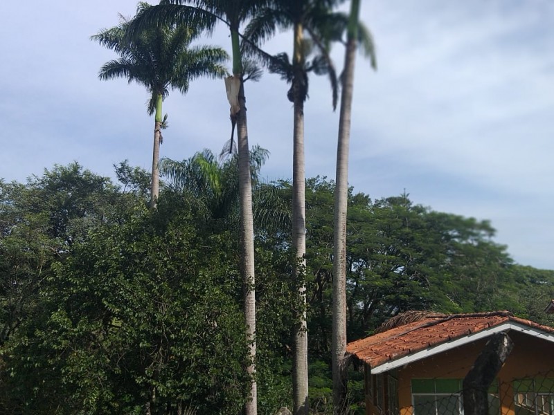 FAZENDA AMPARO