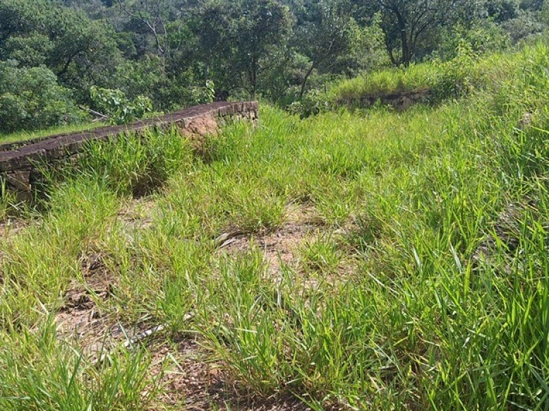 FAZENDA AMPARO