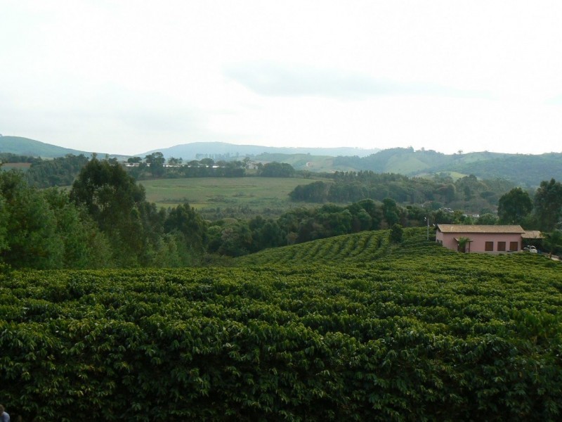 RETIRADO DE VENDA