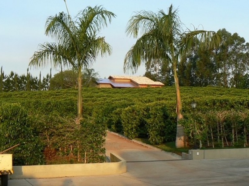RETIRADO DE VENDA