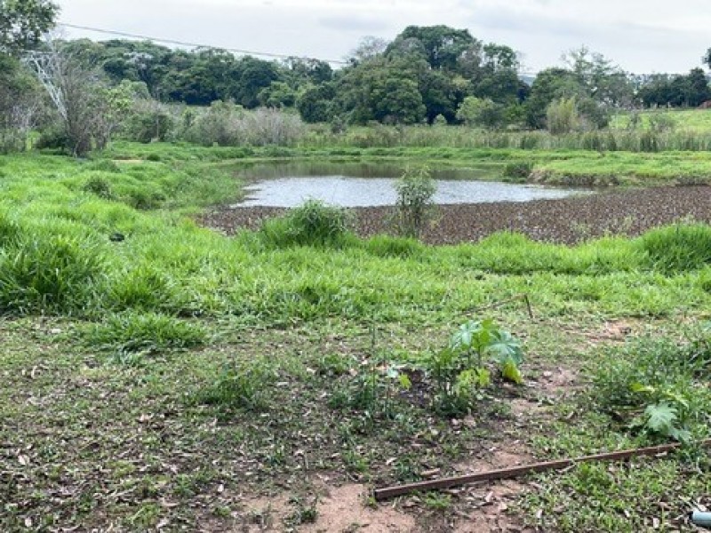 SITIO ESTUFA