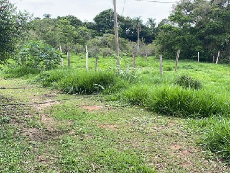 SITIO ESTUFA