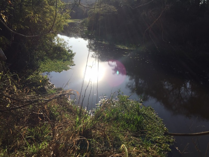 MARGEM RIO JAGUARI