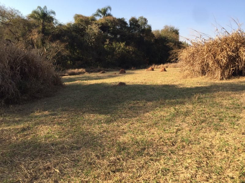 MARGEM RIO JAGUARI