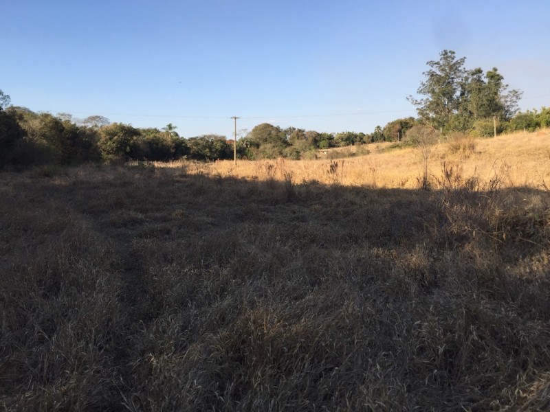 MARGEM RIO JAGUARI