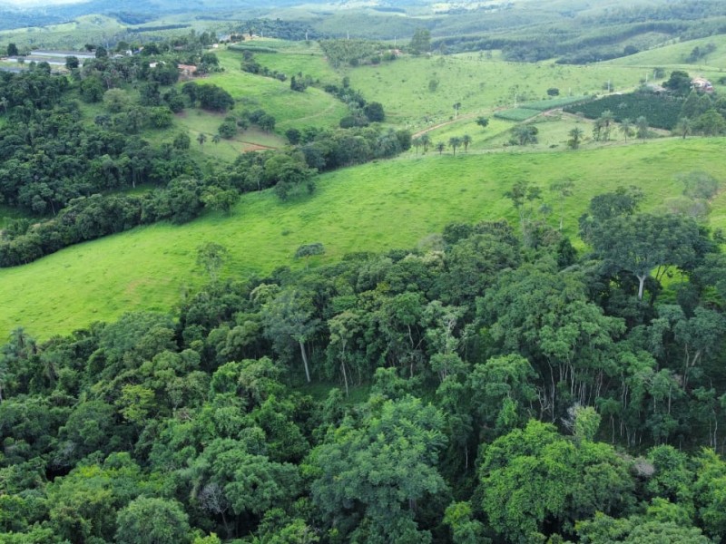 LINDA ÁREA NUA