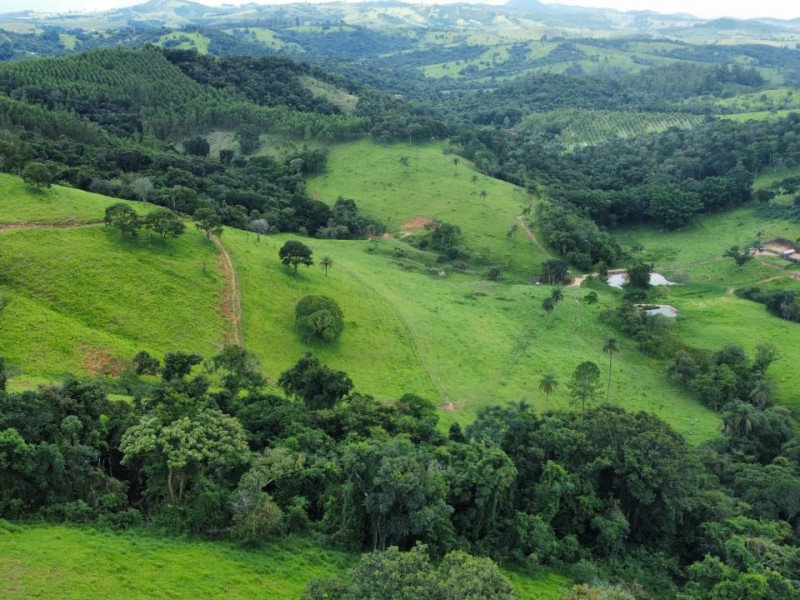 LINDA ÁREA NUA