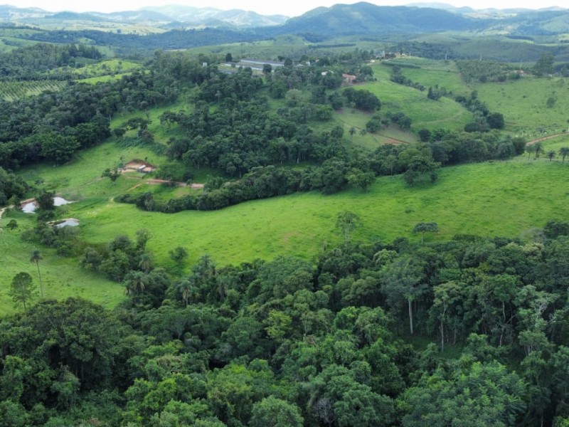 LINDA ÁREA NUA