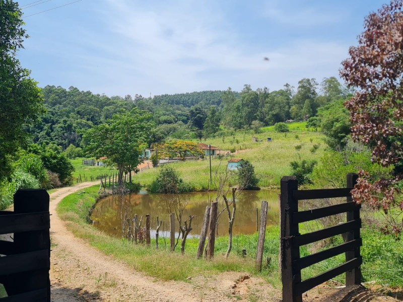 VENDA PAUSADA