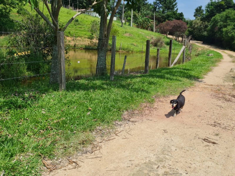 VENDA PAUSADA