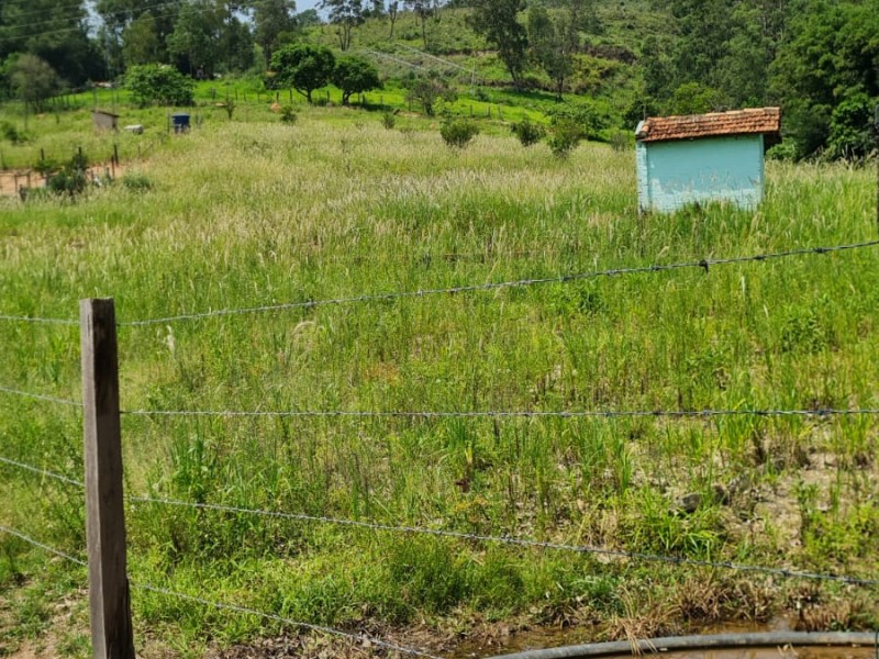 VENDA PAUSADA