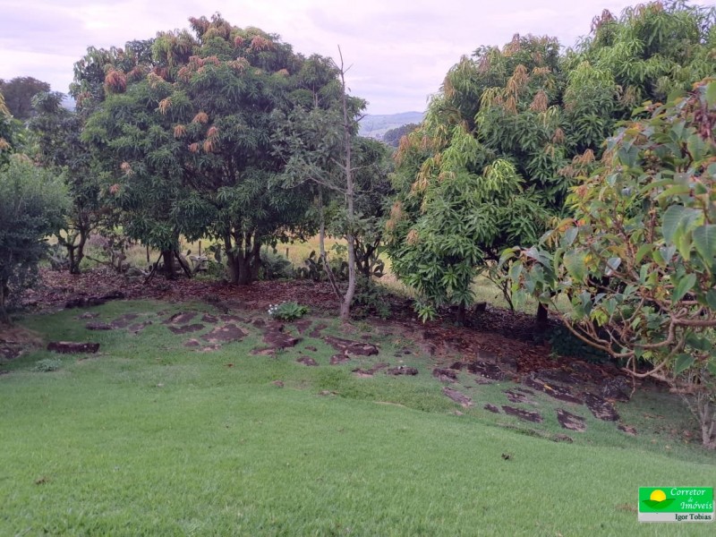LINDA ÁREA RURAL