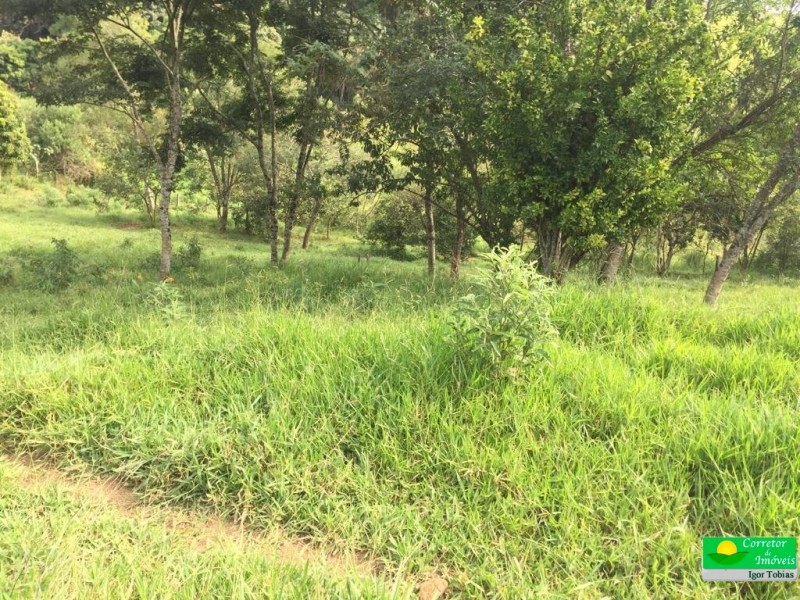 ÁREA RURAL LOCALIZAÇÃO NOBRE