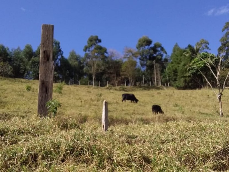 ÁREA RURAL LOCALIZAÇÃO NOBRE