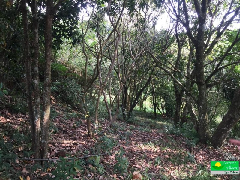 ÁREA RURAL LOCALIZAÇÃO NOBRE