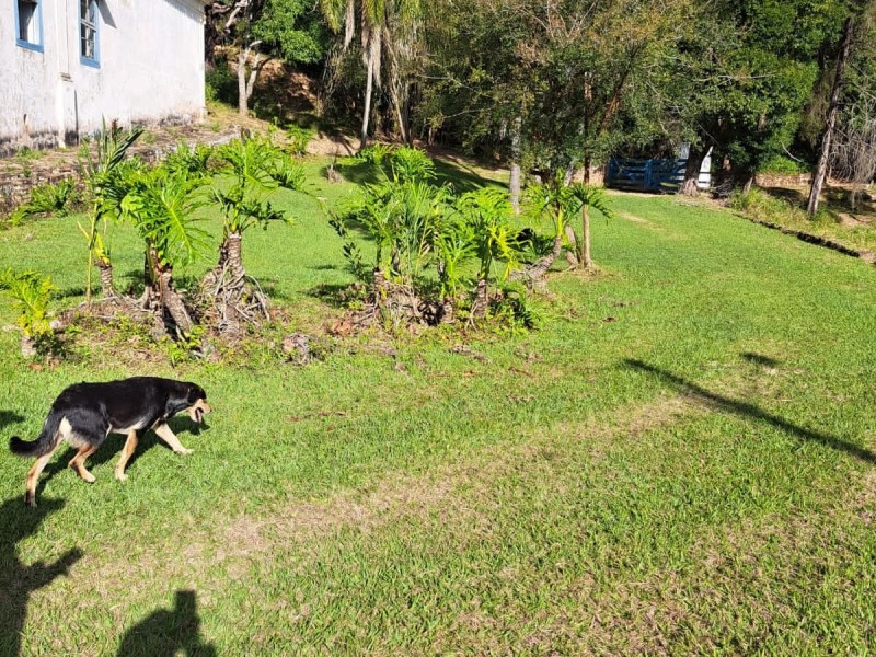 FAZENDA COLONIAL