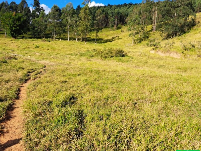 FAZENDA COLONIAL