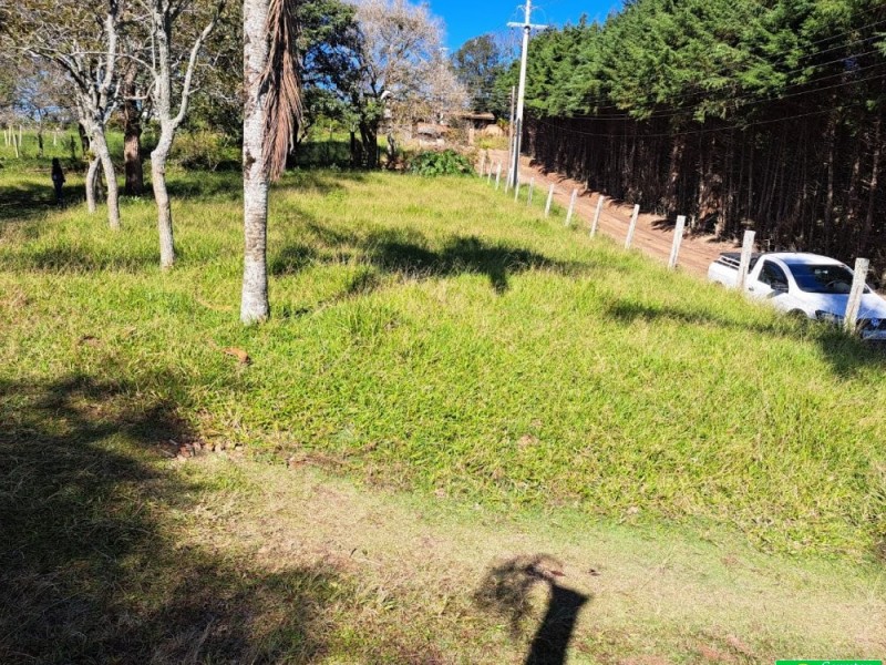 SITIO PICO ALTO