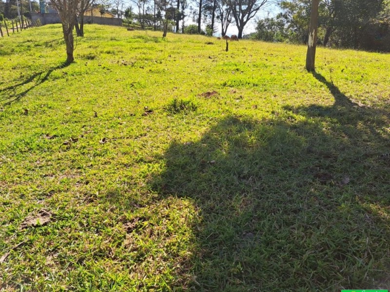 SITIO PICO ALTO