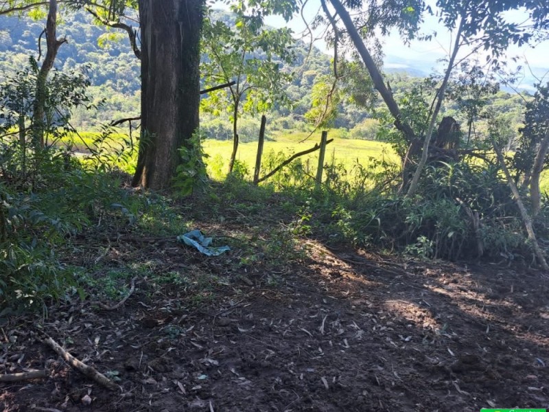 SITIO PICO ALTO