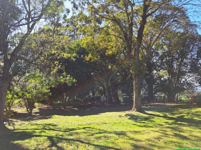 SITIO PICO ALTO