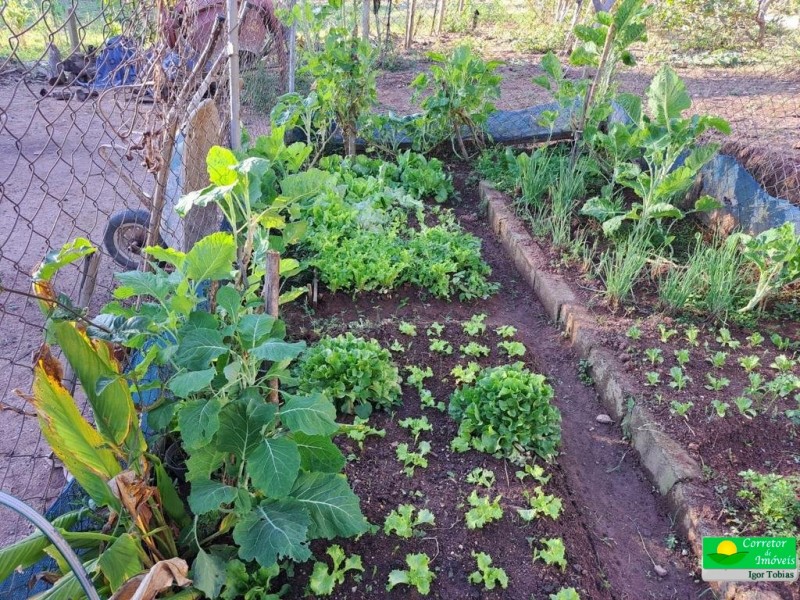 SITIO COM CÓRREGO OTIMA LOCALIZAÇÃO
