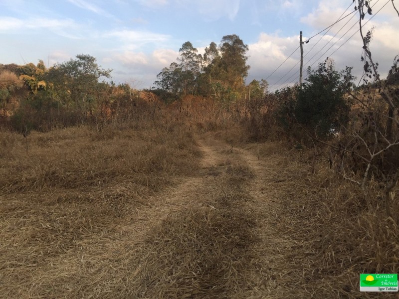 ÁREA RURAL PLANA 