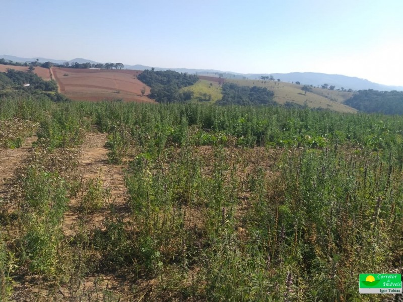 ÁREA RURAL COM REPRESA