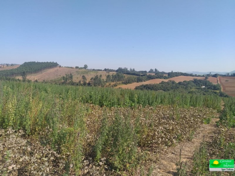 ÁREA RURAL COM REPRESA