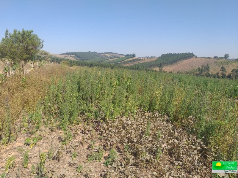 ÁREA RURAL COM REPRESA