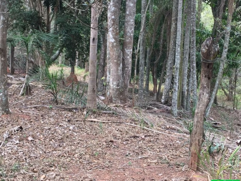 ÁREA RURAL REGIÃO NOBRE