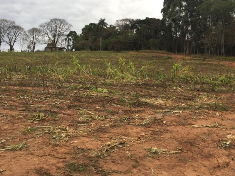 ÁREA RURAL REGIÃO NOBRE