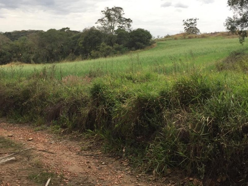 ÁREA RURAL REGIÃO NOBRE