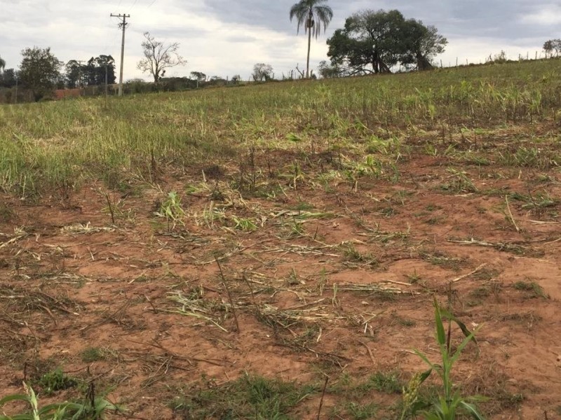 ÁREA RURAL REGIÃO NOBRE