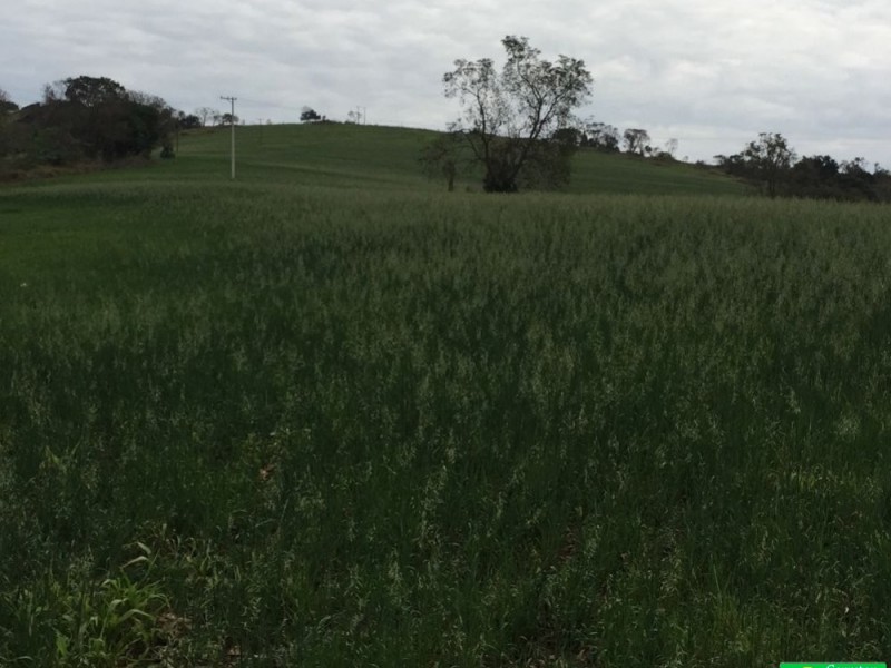 ÁREA RURAL REGIÃO NOBRE