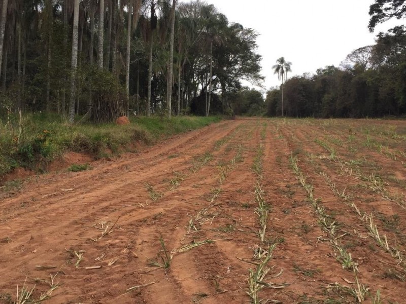 ÁREA RURAL REGIÃO NOBRE