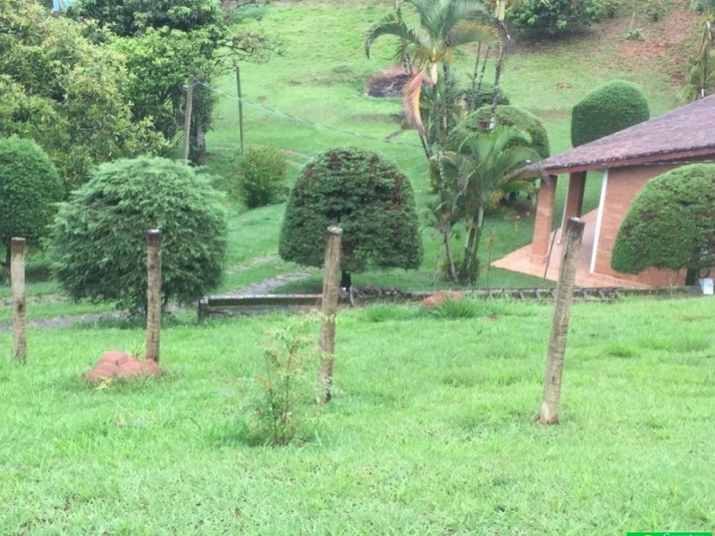 SITIO PROXIMO A CIDADE