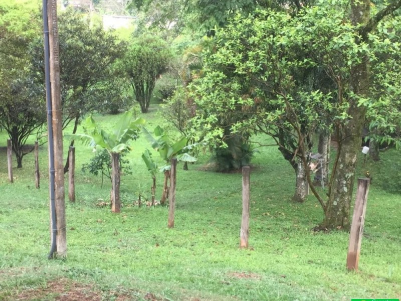 SITIO PROXIMO A CIDADE