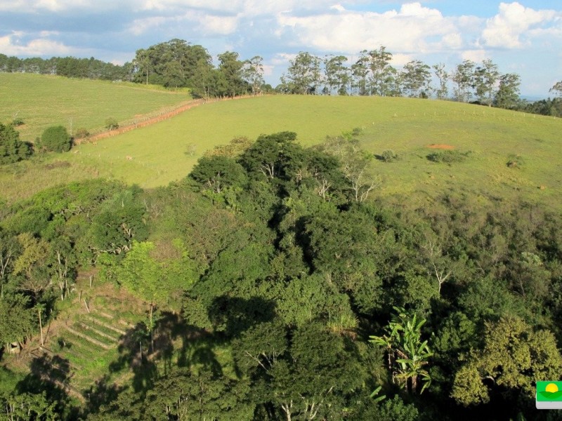 LINDA ÁREA COM MATA CASA SEDE PISCINA