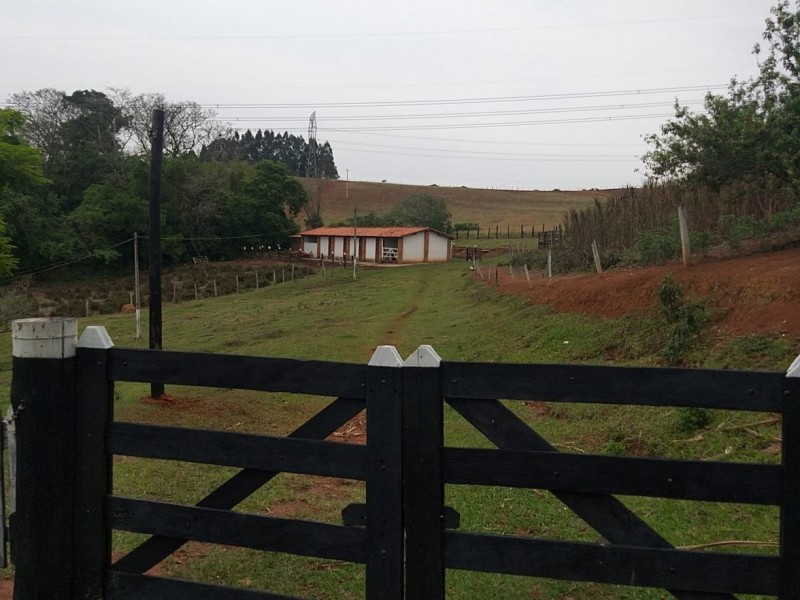 VENDIDO VENDIDO