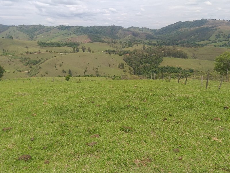 ÁREA RURAL AMPARO