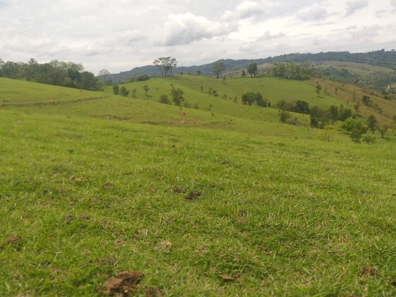 ÁREA RURAL AMPARO