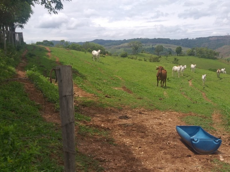 ÁREA RURAL AMPARO