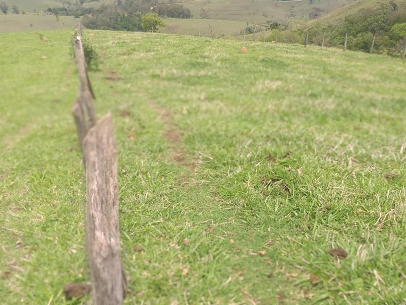 ÁREA RURAL AMPARO