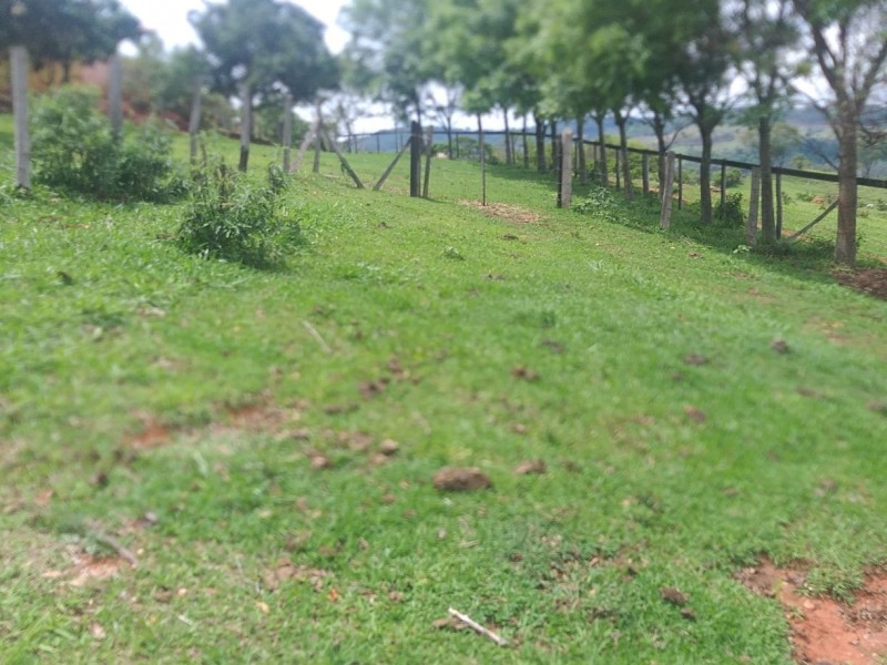 ÁREA RURAL AMPARO
