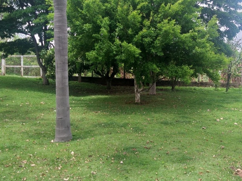 ÁREA RURAL AMPARO
