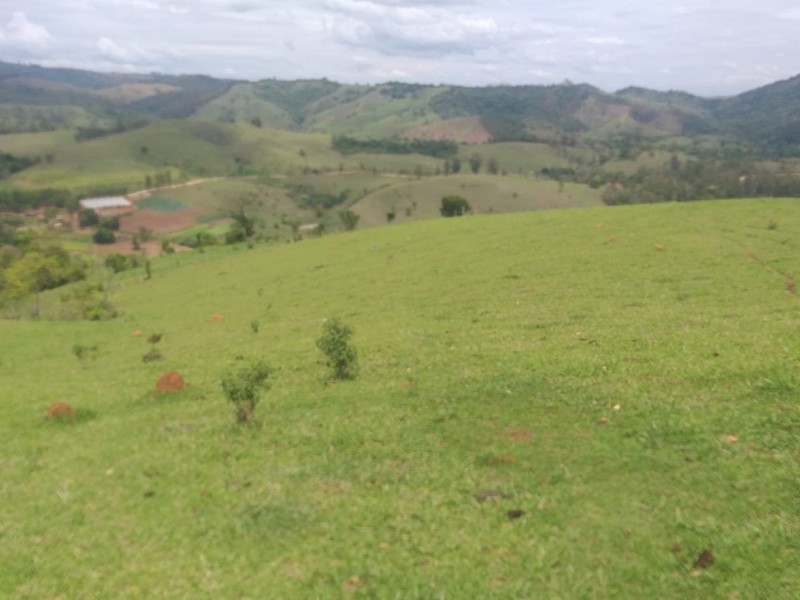 ÁREA RURAL AMPARO