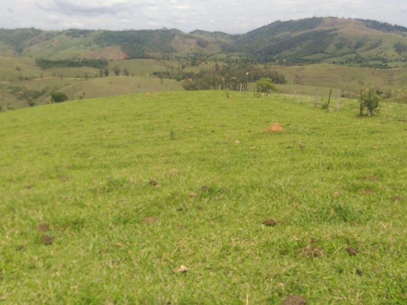 ÁREA RURAL AMPARO